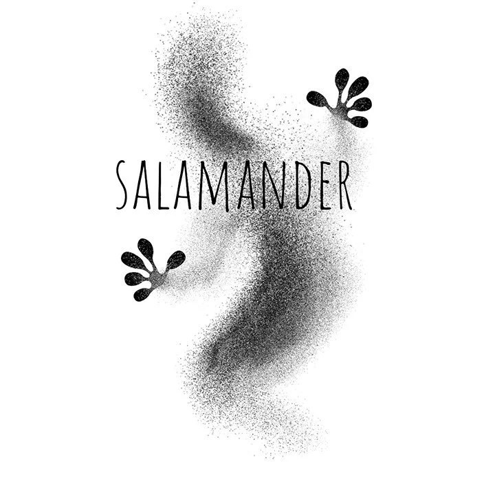 The image Salamander - Chapter 17 - 046e86f71d6d0637427 - ManhwaManga.io