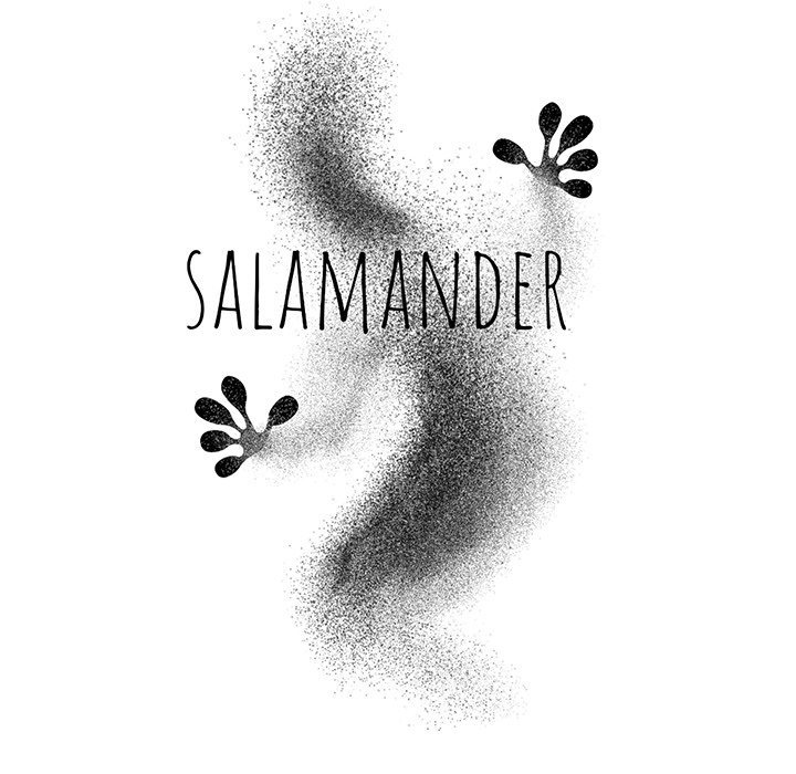 The image Salamander - Chapter 22 - 037c1d589cfd1068791 - ManhwaManga.io
