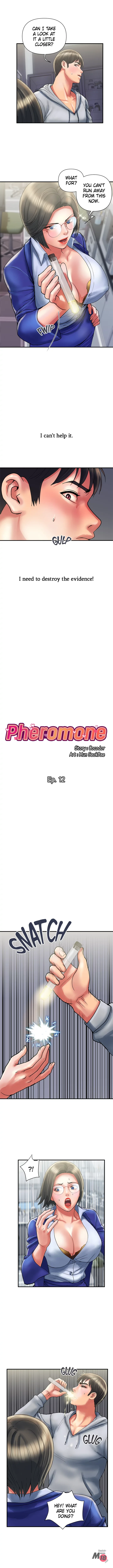 The image Pheromones - Chapter 12 - 10230bdcc30fff039bd - ManhwaManga.io