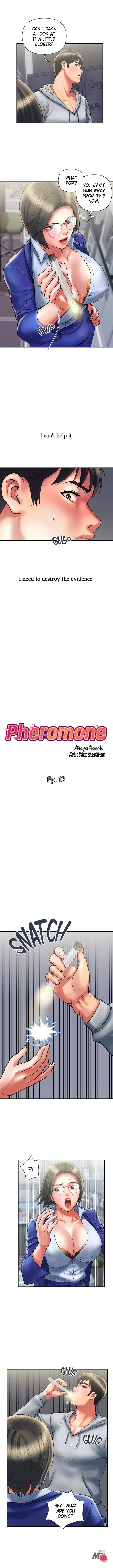 The image 10230bdcc30fff039bd in the comic Pheromones - Chapter 12 - ManhwaXXL.com