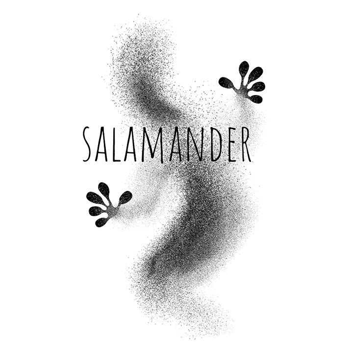 The image Salamander - Chapter 31 - 133dd1841c72253ef18 - ManhwaManga.io