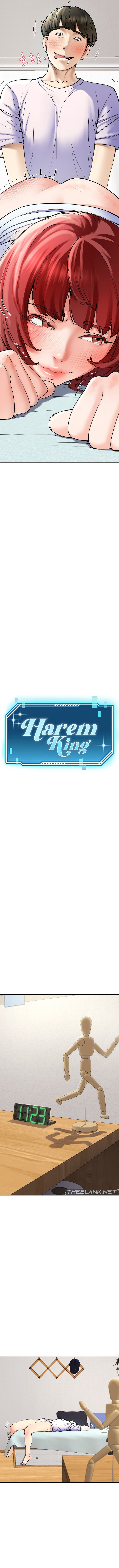 The image Harem King - Chapter 05 - 07a16cb3424d84ed8f - ManhwaManga.io